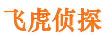 伽师侦探公司